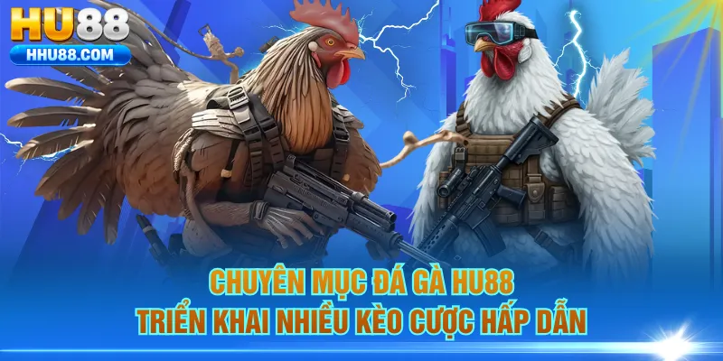 Chuyên mục đá gà HU88 triển khai nhiều kèo cược hấp dẫn