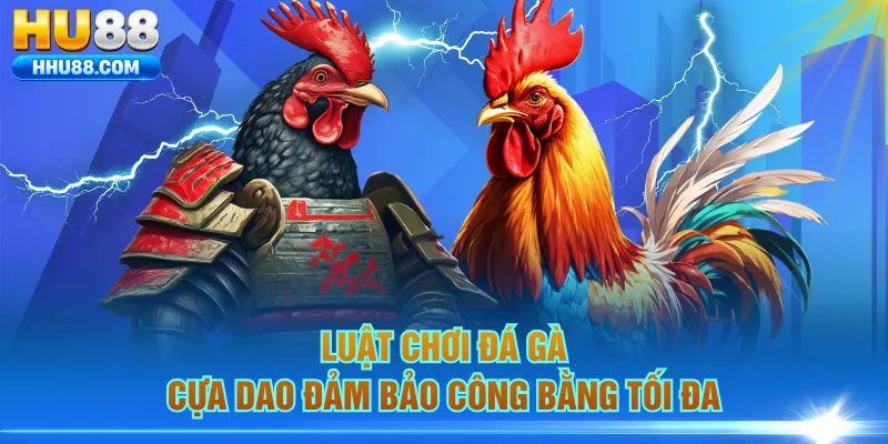 Luật chơi đá gà cựa dao đảm bảo công bằng tối đa