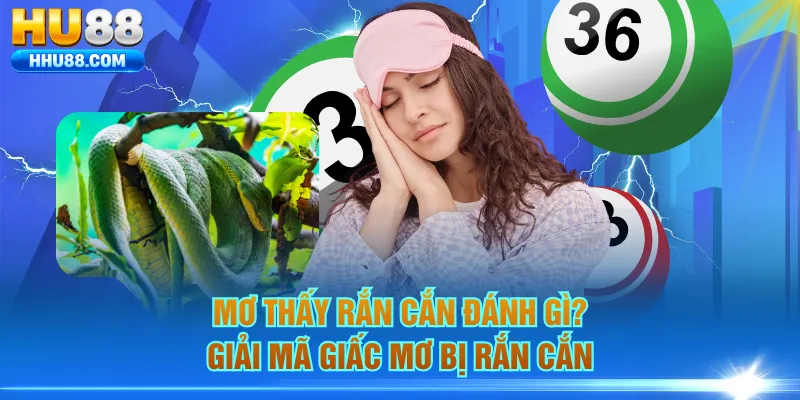Mơ thấy rắn cắn đánh gì? Giải mã giấc mơ bị rắn cắn